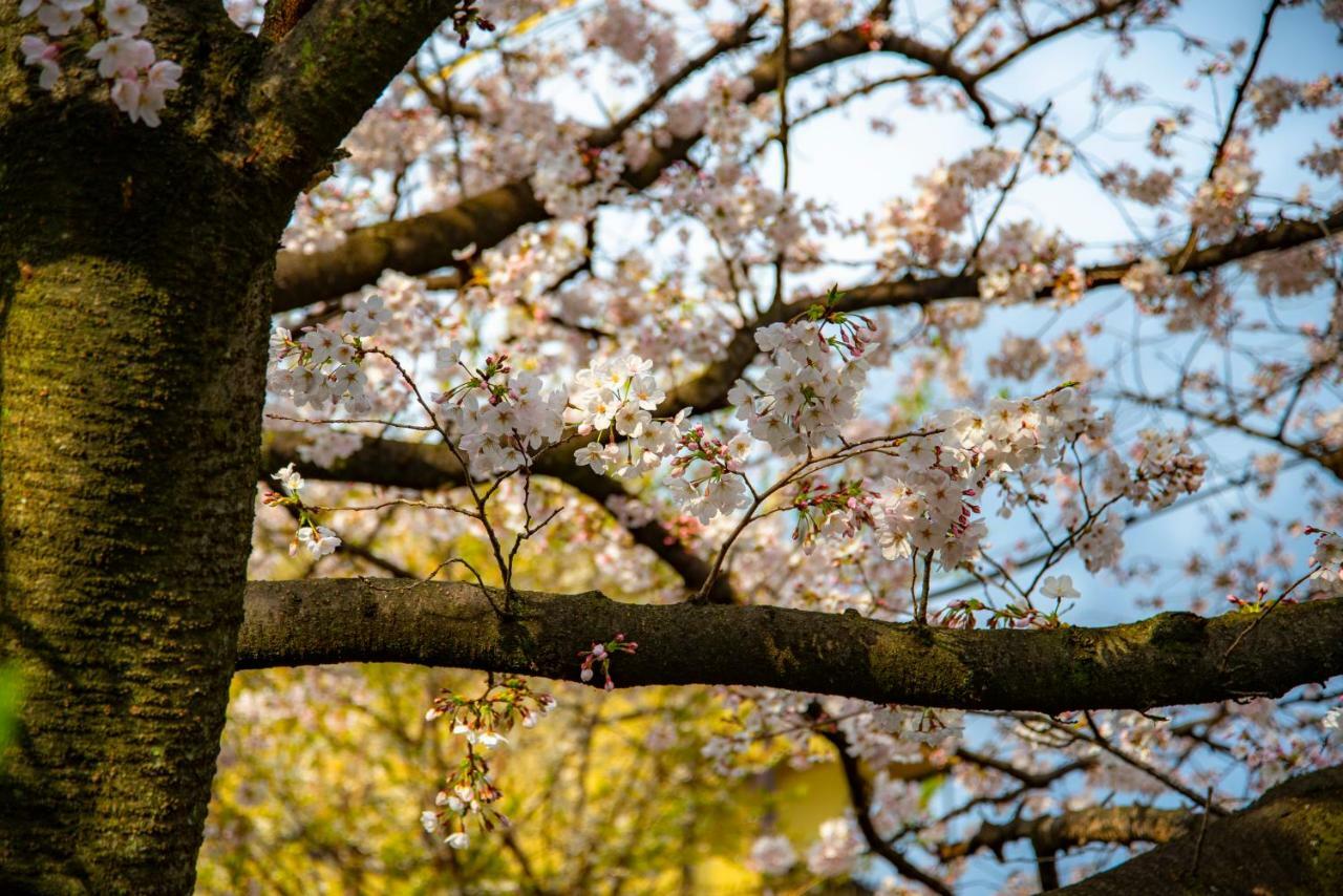 Отель Kyoto Takasegawa Bettei Экстерьер фото